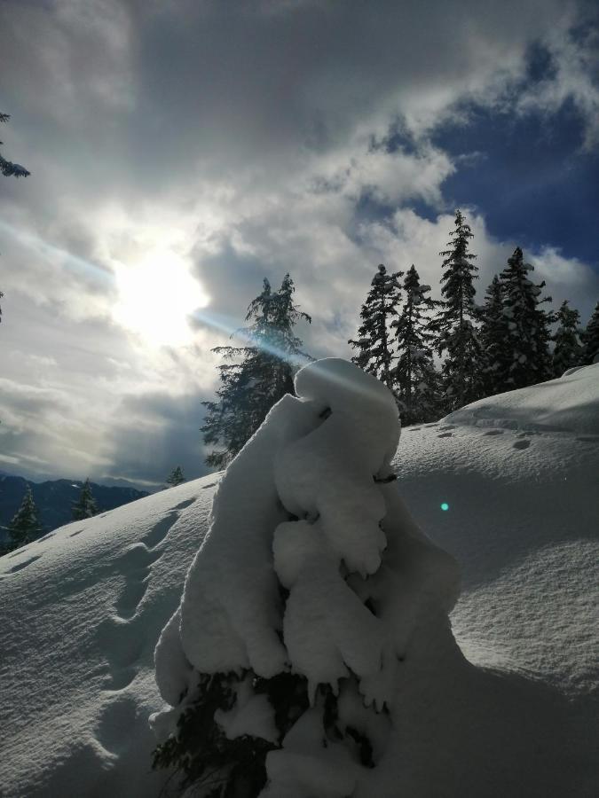 Hotel Garni Alpendiamant 费斯 外观 照片