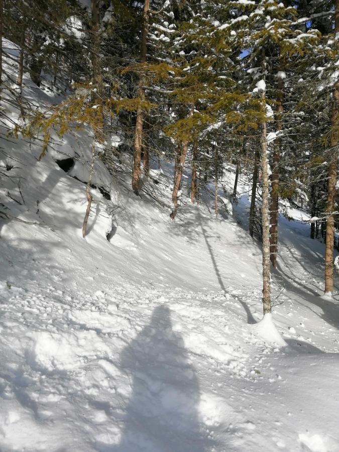 Hotel Garni Alpendiamant 费斯 外观 照片